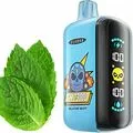 Электронная сигарета Elf Bar Gh23000 Alpine Mint (Мята) Электронная сигарета Elf Bar Gh23000 Alpine Mint (Мята)