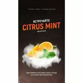 Табак 420 Citrus Mint (Цитрус Мята) 100 грамм