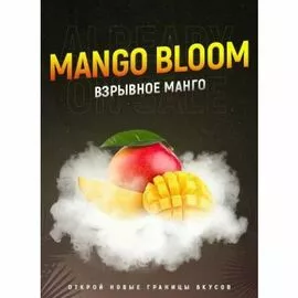 Табак 4:20 Mango Bloom (Манго) 100 грамм
