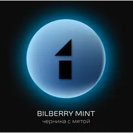 Табак Do You Bilberry Mint (Ду Ю Черника с Мятой) 50 грамм