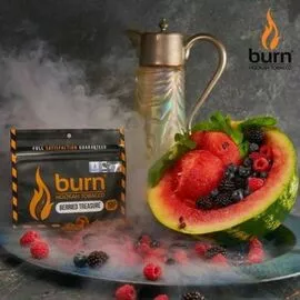 Табак для кальяна Burn Berried Treasure (Берн Ягодное сокровище) 100 грамм