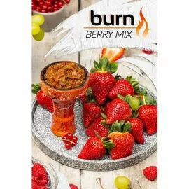 Тютюн Burn Berry Mix (Берн Ягідний Мікс) 100 грам