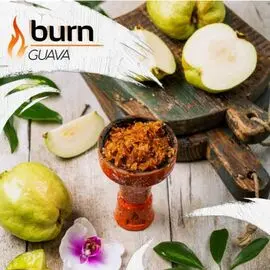 Табак Burn Guava (Берн Гуава) 100 грамм