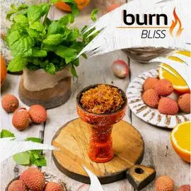 Табак Burn Bliss (Бёрн Блаженство) 100 грамм