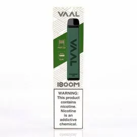 Одноразка VAAL Strawberry Kiwi (Велл) Клубника Киви 1800