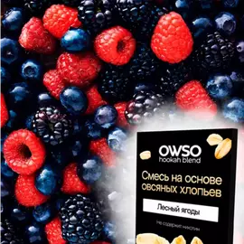 Смесь на основе овсяных хлопьев Owso Лесные Ягоды 100грм