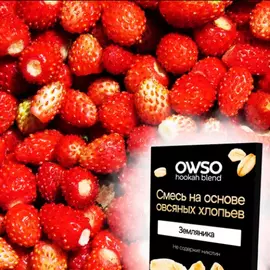 Суміш на основі вівсяних пластівців Owso Суниця 100грм