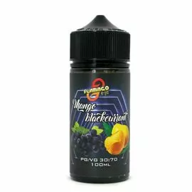Жидкость Flamingo Mango blackcurrant 100мл 3\0