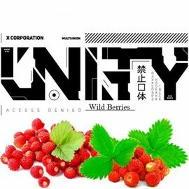 Тютюн Unity Wild Berries (Суниця) 100гр