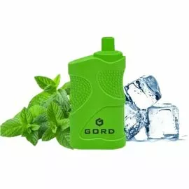 Одноразка Gord G-05 4000 Mint Ice (Ледяная Мята)