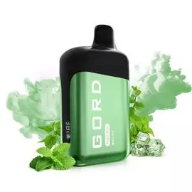 Одноразка Gord 6500 Mint Ice (Ледяная Мята)