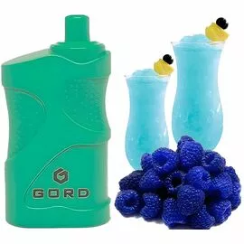 Одноразка Gord G-05 4000 Blue Razz Lemonadey (Лимонад Голубика)