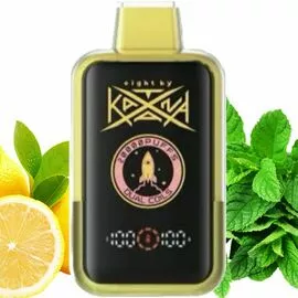 Електронна сигарета Katana 20000 Lemon Mint (Лимон М'ята)