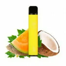 Електронні сигарети Elf Bar Coconut melon (Кокосова диня) 1500| 5%