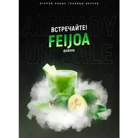 Тютюн 4:20 Feijoa (Фейхоа) 100 гр