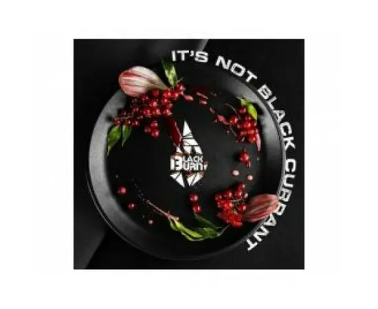 Тютюн Burn Black It's Not Black Currant (Берн Блек Червона Смородина) 100 грам