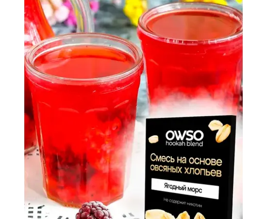 Суміш на основі вівсяних пластівців Owso Ягідний Морс 100грм