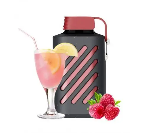 Одноразка Vozol 10000 Red Mojito (Малиновый Мохито)