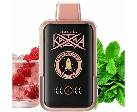 Одноразка Katana 20000 Pink Lemonade Mint (Розовый Лимонад Мята)