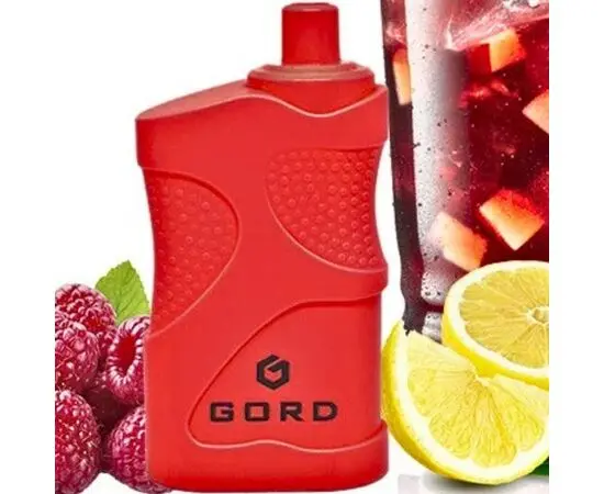 Одноразка Gord G-05 4000 Raspberry mojito (Горд Малиновий Мохіто)