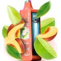 Электронная сигарета Elf Bar Planet 25000 Double Peach Lime (Двойной Персик Лайм) Электронная сигарета Elf Bar Planet 25000 Double Peach Lime (Двойной Персик Лайм)