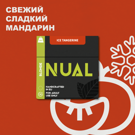 Тютюн для кальяну Nual Ice Tangerine (Нуал Айс Мандарин) 100 гр