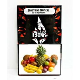 Табак Burn Something Tropical (Бёрн Блек Что-то тропическое) 100 грамм