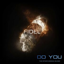 Безтютюнова суміш Do You Fidel (Ду Ю Горіх Чорнослив) 50 грам