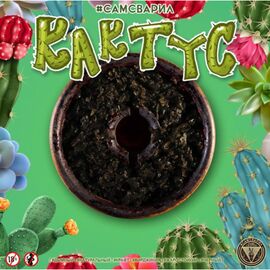 Табак Сам Сварил Кактус 100 грамм