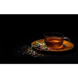 Одноразка Gord 800 Tea