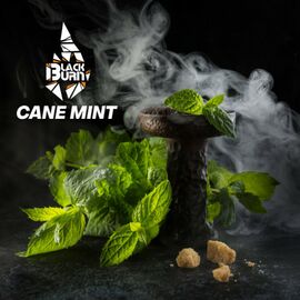 Тютюн Burn Black Cane Mint (Берн Блек Тросникова М'ята) 100 грам