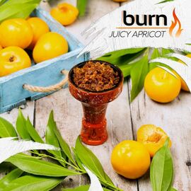 Тютюн Burn Juicy Apricot (Берн Соковитий Абрикос) 100 грам