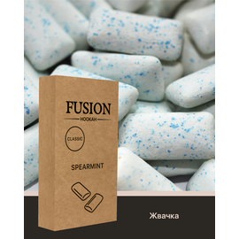 Тютюн Fusion Classic Chewing Gum (Фьюжн М'ята Жуйка) 100 гр