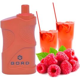 Електронні сигарети Gord G-05 4000 Raspberry mojito (Горд Малиновий Мохіто)
