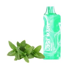 Одноразка Lost Mary MO5000 Mint (М'ята)