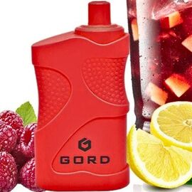 Одноразка Gord G-05 4000 Raspberry mojito (Горд Малиновий Мохіто)