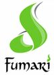 Одноразка Fumari (Фумарі) Виноград Айс 2000 | 2%
