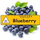 Табак Tangiers Noir Blueberry 21 (Танжирс Черника) 100 грамм Табак Tangiers Noir Blueberry 21 (Танжирс Черника) 100 грамм