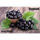 Табак Diamond Black Currant (Диамант Черная Смородина) 50гр Табак Diamond Black Currant (Диамант Черная Смородина) 50гр