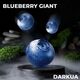 Табак DARKUA Blueberry Giant (Дарк ЮА Черника) 100 грамм Табак DARKUA Blueberry Giant (Дарк ЮА Черника) 100 грамм