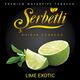 Табак Serbetli Ice Lime Exotic (Экзотический Лайм Лёд) 100 гр Табак Serbetli Ice Lime Exotic (Экзотический Лайм Лёд) 100 гр